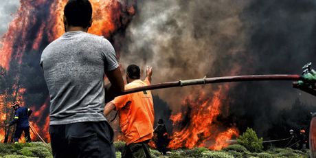 Posljedice katastrofalnog požara u Grčkoj (Foto: AFP) - 2