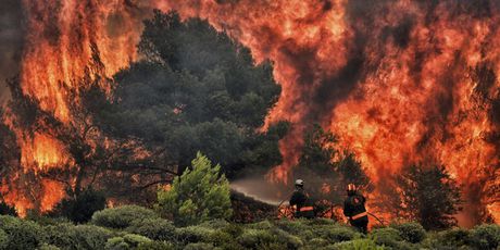 Posljedice katastrofalnog požara u Grčkoj (Foto: AFP) - 9