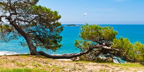Poreč