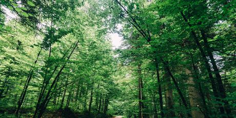 Nacionalni park Risnjak