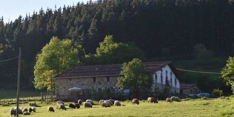 Asador Etxebarri - 8