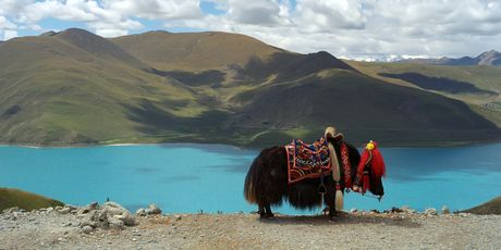 Kailash, Tibet