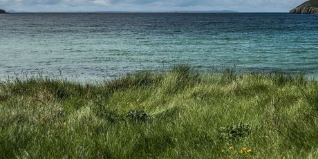 Ronaldsay - 2