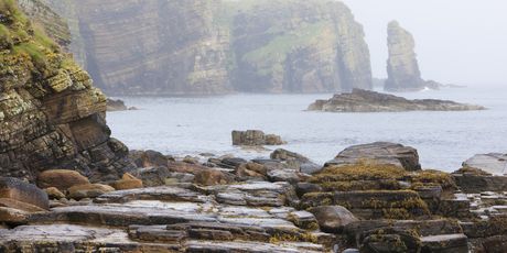 Ronaldsay - 4