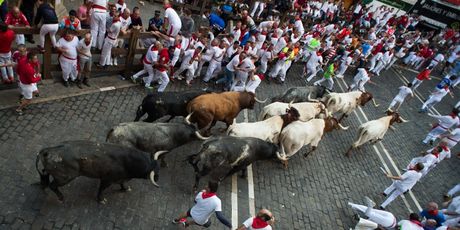 Utrke s bikovima u Pamploni (Foto: AFP)