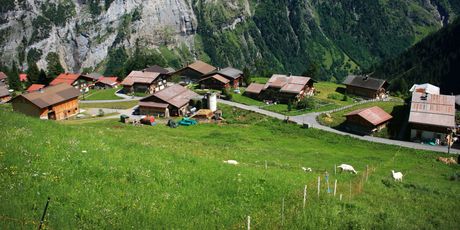 Gimmelwald, Švicarska - 1