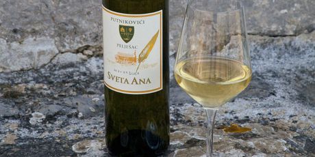 Prvi hrvatski muzej vinogradarstva i vinarstva - 2