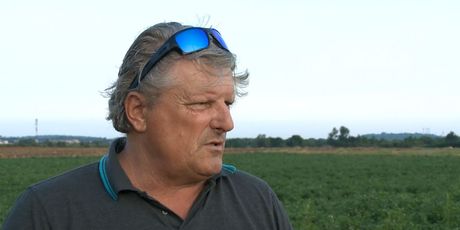 Poljoprivrednik Dario Marčeta (Foto: Dnevnik.hr)