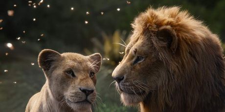 Kralj lavova (Foto: IMDB)