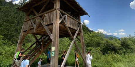 Prirodni rezervat Zelenci - 6