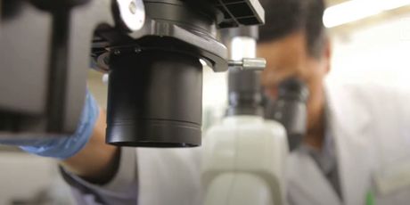 14 milijuna kuna znanstvenicima u borbi s koronom - 2