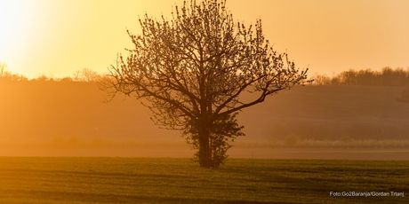 Baranja - 3