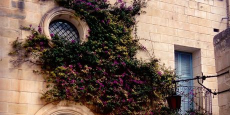 Mdina, Malta - 12