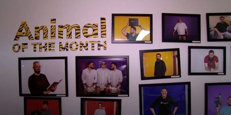 Hrvatski web-dizajneri pomeli konkurenciju - 4