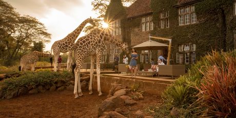 Giraffe manor hotel, Kenija - 2