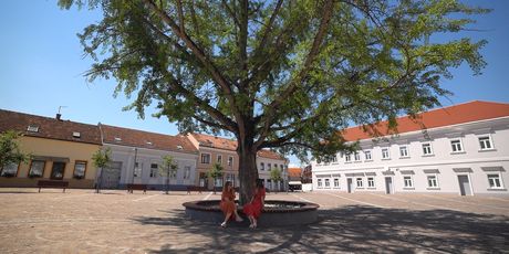 Trg svete Terezije Avilske, Požega