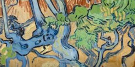 Otkrivena tajna Vincent Van Gogha - 4