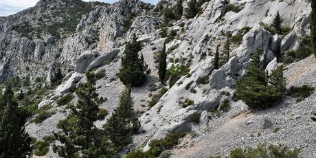 Francuska cesta - 13