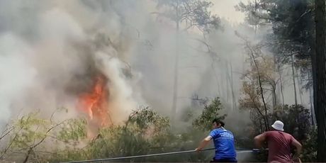 Veliki požari na Siciliji - 3