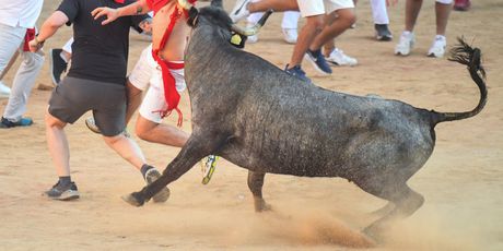 Borba s bikovima u Pamploni