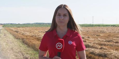 Matea Drmić, reporterka Dnevnika Nove TV