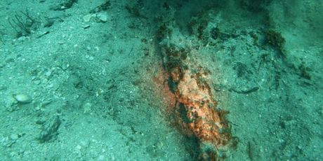 Veliko podvodno otkriće, ilustracija - 4