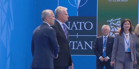 NATO summit, ilustracija - 3