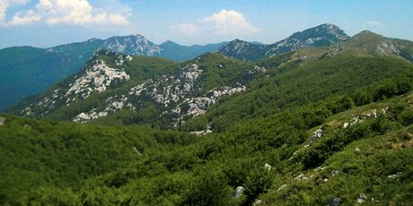 Risnjak i Snježnik