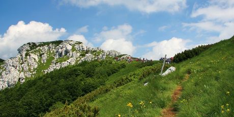 Livade na grebenu Snježnika