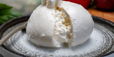 Burrata - 3