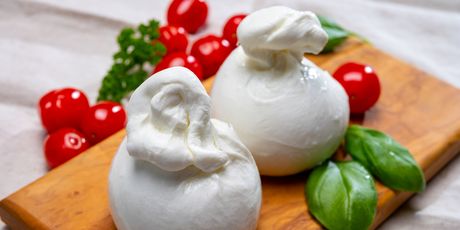 Burrata - 4