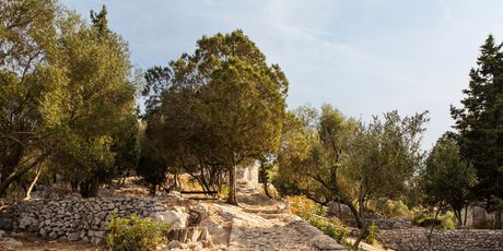 NP Mljet - 1
