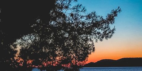 Lampice će, osim potrebnog svjetla, stvoriti i romantičnu atmosferu.