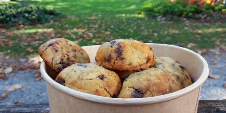 Cooksići - 1