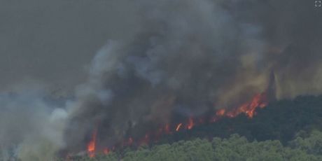 Požari u Grčkoj, ilustracija - 4