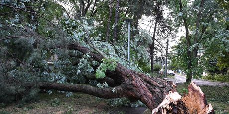 Posljedice neveremena u Zagrebu - 4