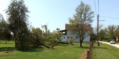Posljedice oluje u Sisačkoj-moslavačkoj županiji - 2