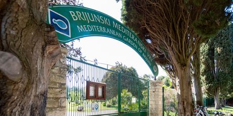 Nacionalni park Brijuni