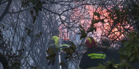 Požar kod Dubrovnika, ilustracija - 2