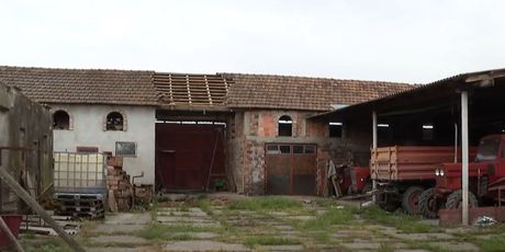 Sanacija štete od nevremena u Slavoniji - 3