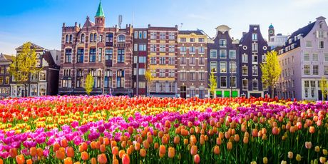 Amsterdam - 4
