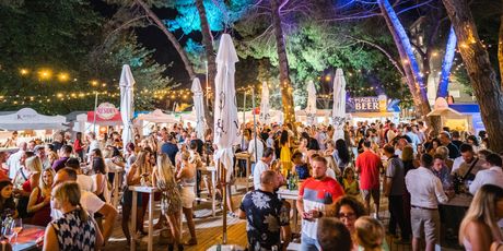 Vinski grad Pula