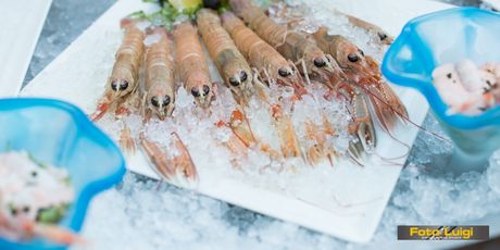 Kvarnerski ili draški škamp jedna je od najpoznatijih jadranskih delicija (Foto Luigi Opatija)