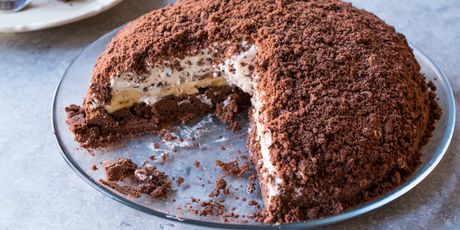Torta krtica