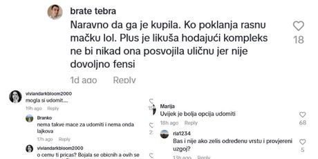 Komentari na macu - 2