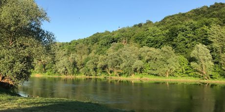 Plaža Pokupsko - 6