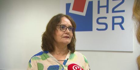 Ljiljana Rogić Šneperger, Služba za podršku udomiteljstvu