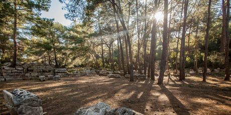 Ugljan, otok maslina, povijesti i avantura - 8