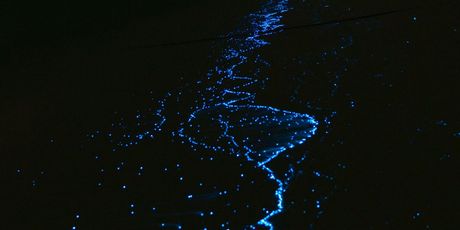 Plaža koja svijetli na Maldivima