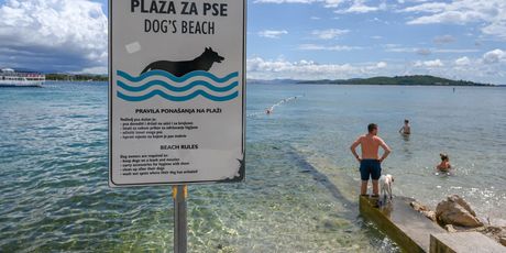 Pseće plaže - 1